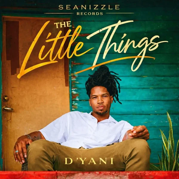 D’yani – The Little Things D'yani - The Little Things