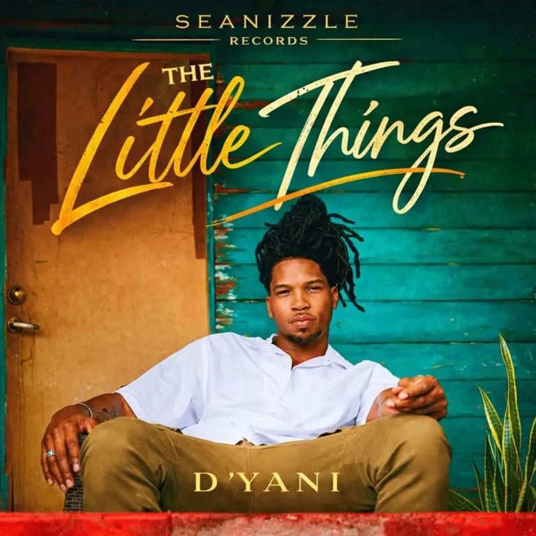D’yani – The Little Things D'yani - The Little Things