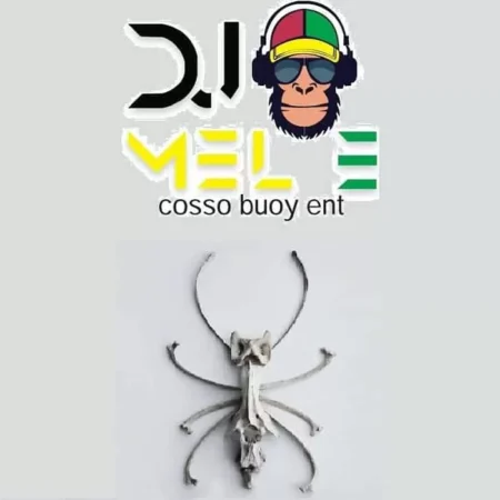 2 Dj Mixtape - New School And Old School Dancehall