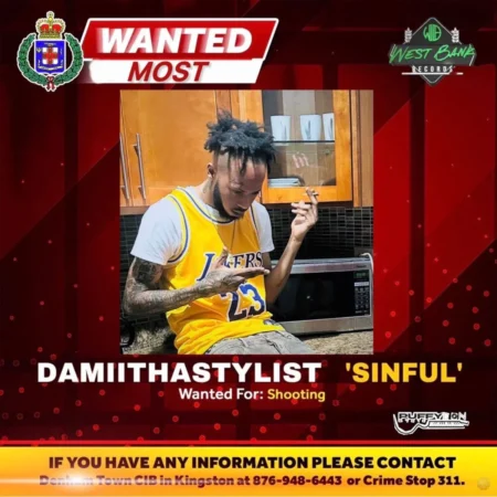 Damiithastylist - Most Wanted