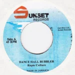 Dancehall Bubbler Riddim – Various Labels