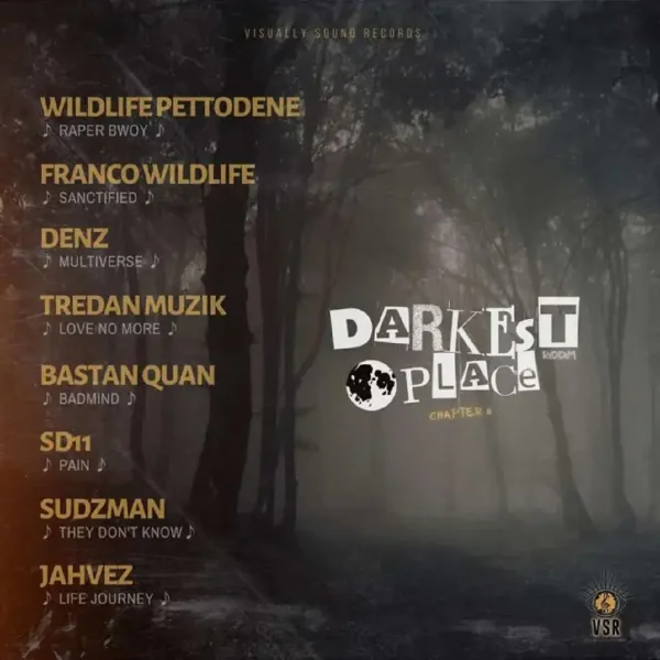 Darkest Place Riddim (chapter Ii) - Visually Sound Records