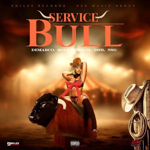 demarco - service bull