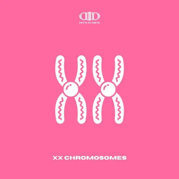 Devin Di Dakta - Xx Chromosomes