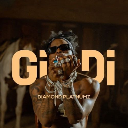 Diamond-Platnumz-Gidi