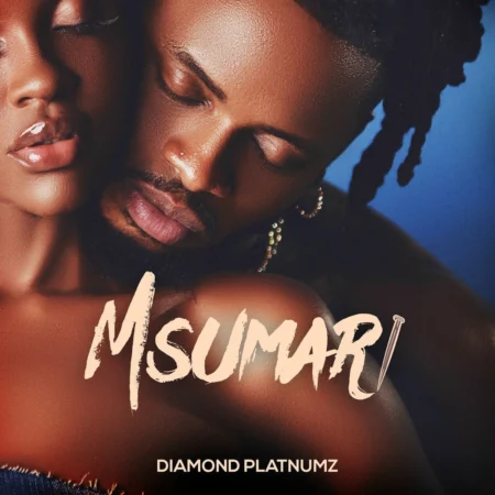 Diamond Platnumz - Msumari