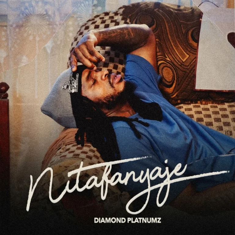 Diamond Platnumz – Nitafanyaje Diamond Platnumz - Nitafanyaje