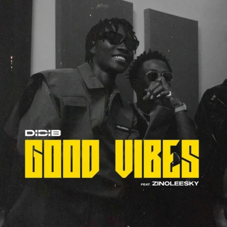 Didi B Ft. Zinoleesky - Good Vibes