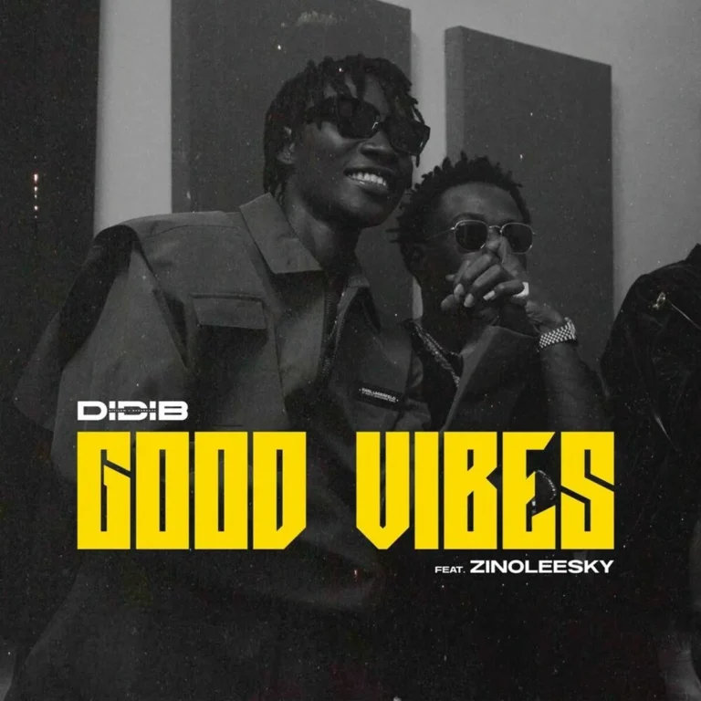 Didi B Ft. Zinoleesky – Good Vibes Didi B Ft. Zinoleesky - Good Vibes
