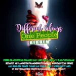 Different Colours One People Riddim – FlyWeh Records