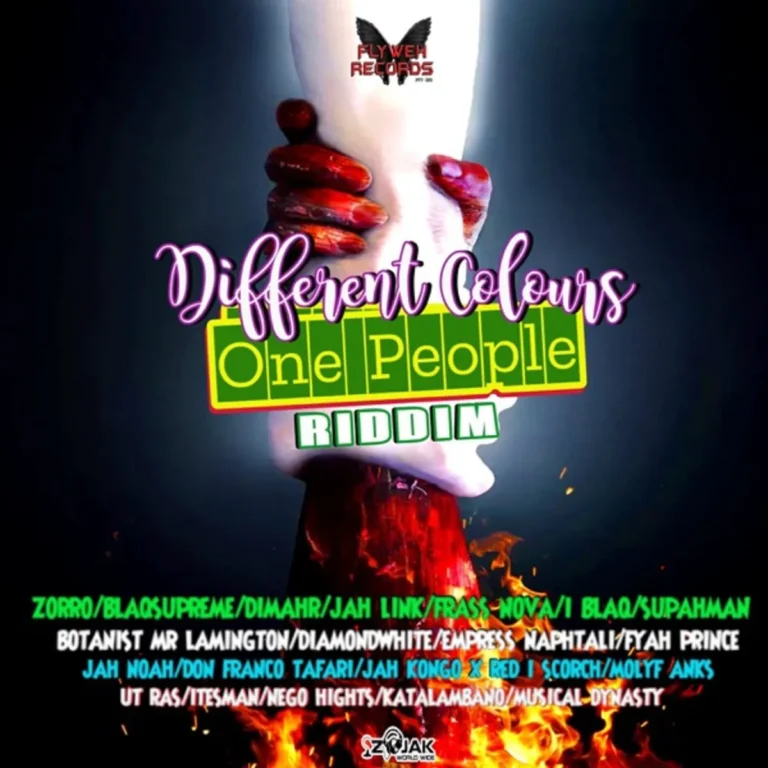 Different Colours One People Riddim - Flyweh Records