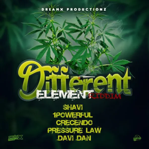 Different Element Riddim - Dreamx Productionz