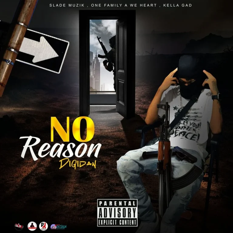 Digidan - No Reason