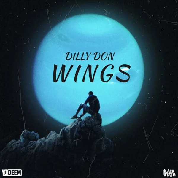 Dilly Don - Wings