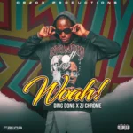 Ding Dong x ZJ Chrome – Woah