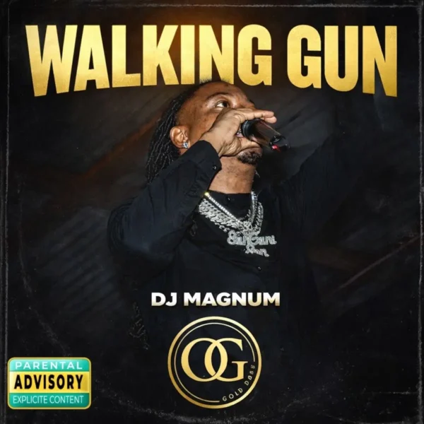 Dj Magnum - Walking Gun