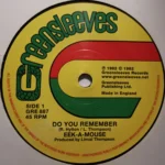 Do You Remember Riddim – Unknown Label