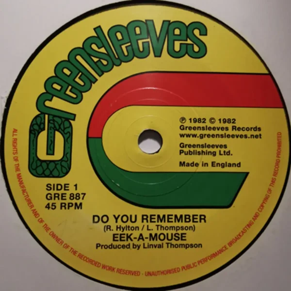 Do You Remember Riddim - Unknown Label