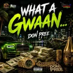Don Pree – What A Gwaan