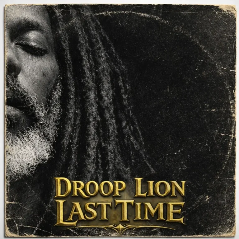 Droop Lion - Last Time