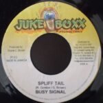 Dubwise Riddim (2009) – Juke Boxx Productions
