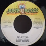 Dubwise Riddim – Juke Boxx Productions