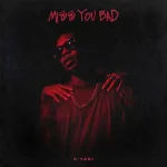 D’yani – Miss You Bad