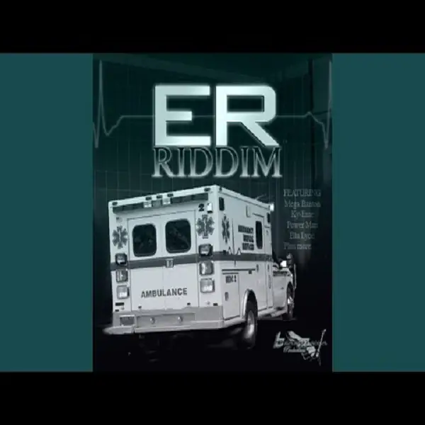 E R Riddim - Stone Love Records