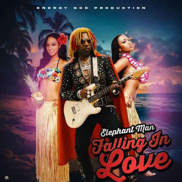 Elephant Man - Falling In Love