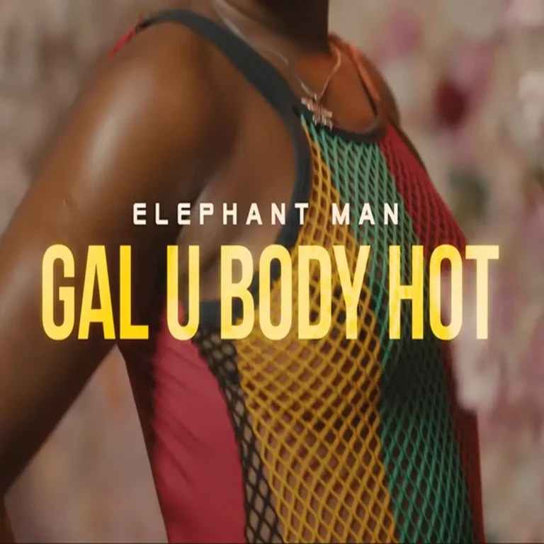 Elephant Man - Gal U Body Hot