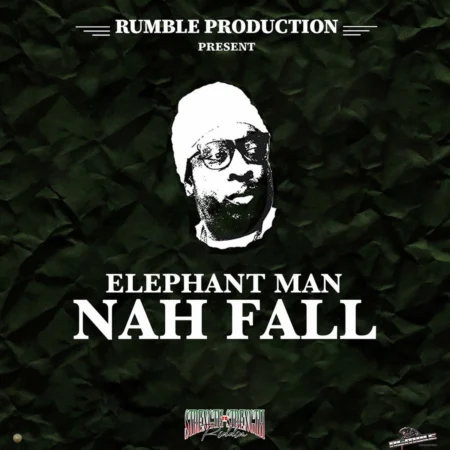 Elephant Man - Nah Fall