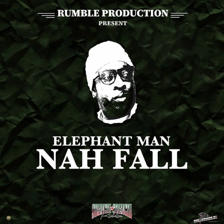 Elephant Man – Nah Fall Elephant Man - Nah Fall