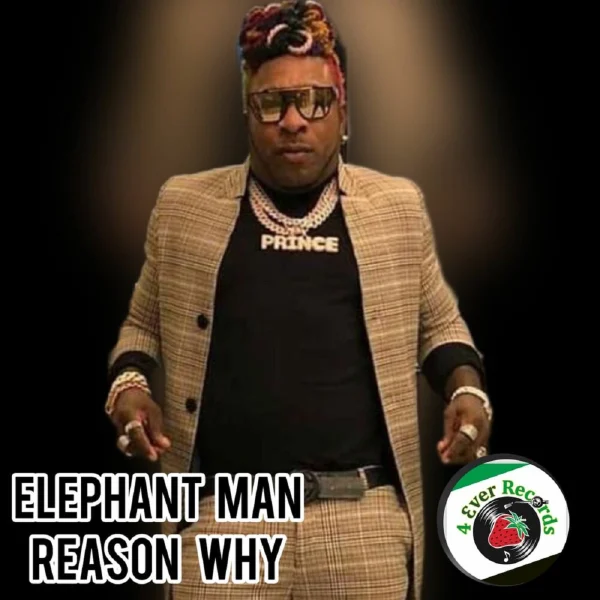 Elephant Man - Reason Why