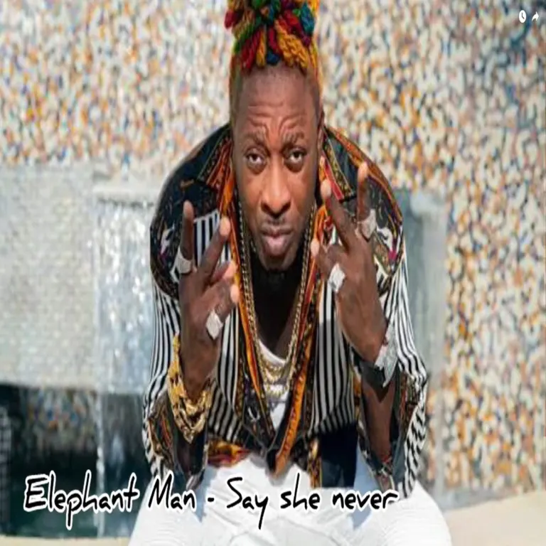 Elephant Man – Say She Never Elephant Man - Say She Never
