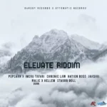 Elevate Riddim – Dan Sky Records / Attomatic Records