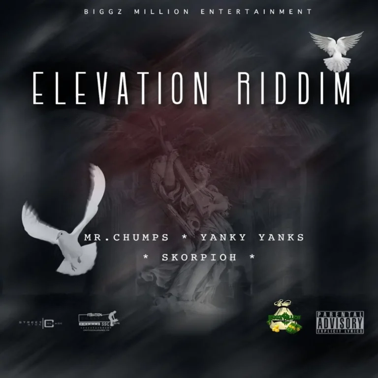 Elevation Riddim - Biggz Million Entertainment