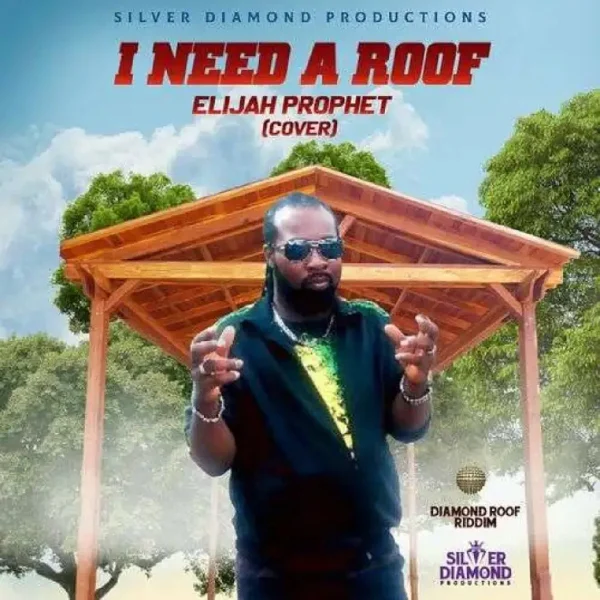 Elijah Prophet - I Need A Roof (cover)