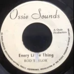 Every Little Thing Riddim – Various Labels