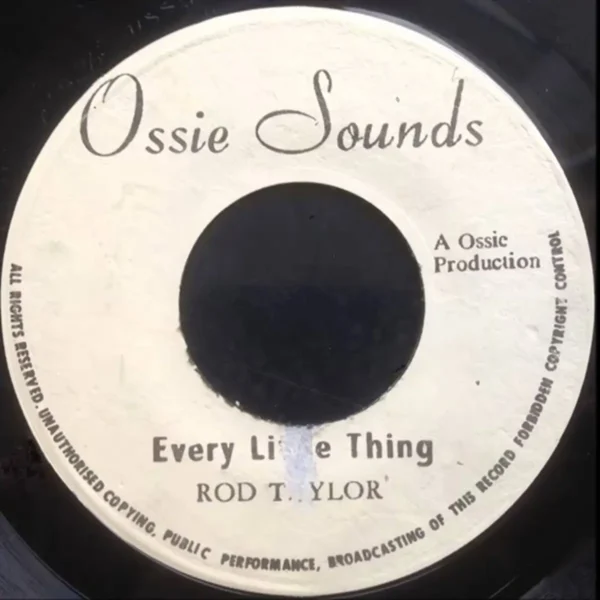 Every Little Thing Riddim - Various Labels