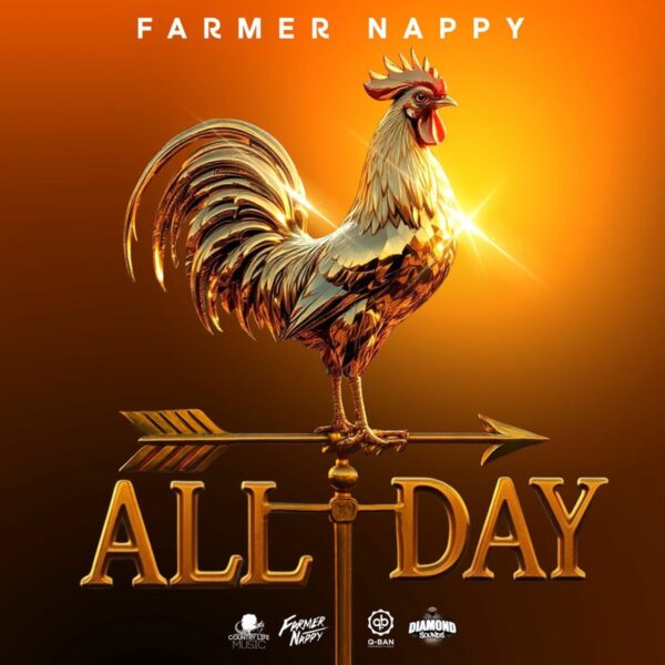 Farmer Nappy – All Day Farmer Nappy - All Day