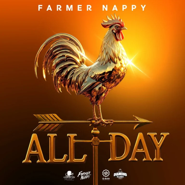 Farmer Nappy - All Day