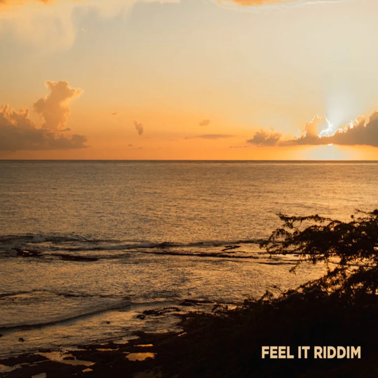 Feel It Riddim - Ineffable Records