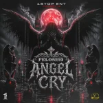 Feloni19 – Angel Cry
