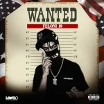 Feloni19 – Wanted