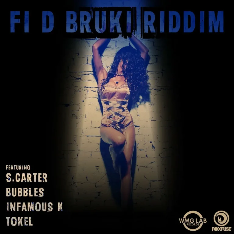 Fi D Bruki Riddim - Wmg Lab Records