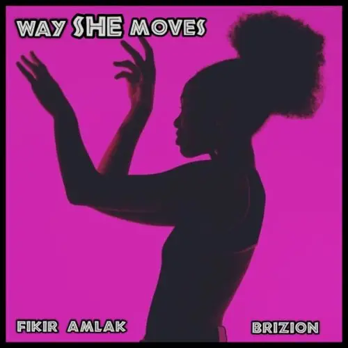 fikir amlak - brizion - way she moves