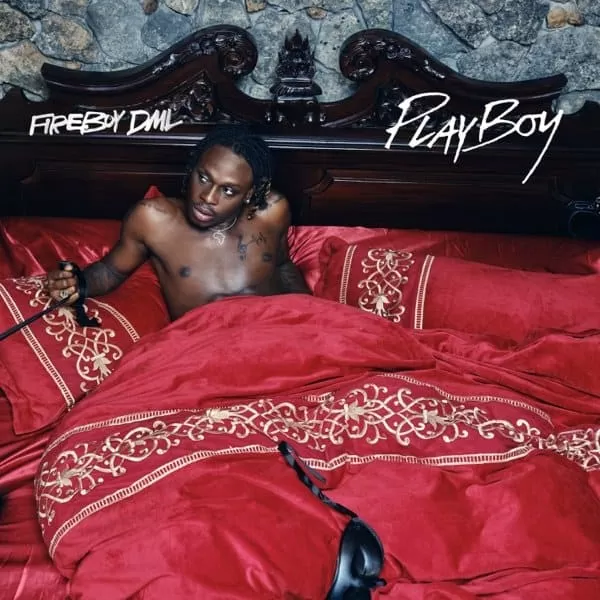 fireboy dml - playboy