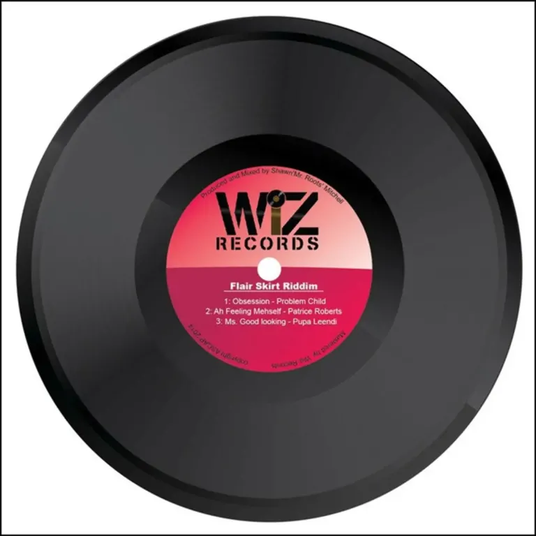Flair Skirt Riddim - Wiz Records