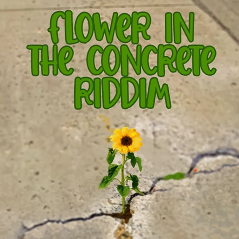 Flower In The Concrete Riddim – iOne Productions Flower In The Concrete Riddim - Ione Productions