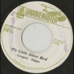 Fly Little Silver Bird Riddim – Unknown Label